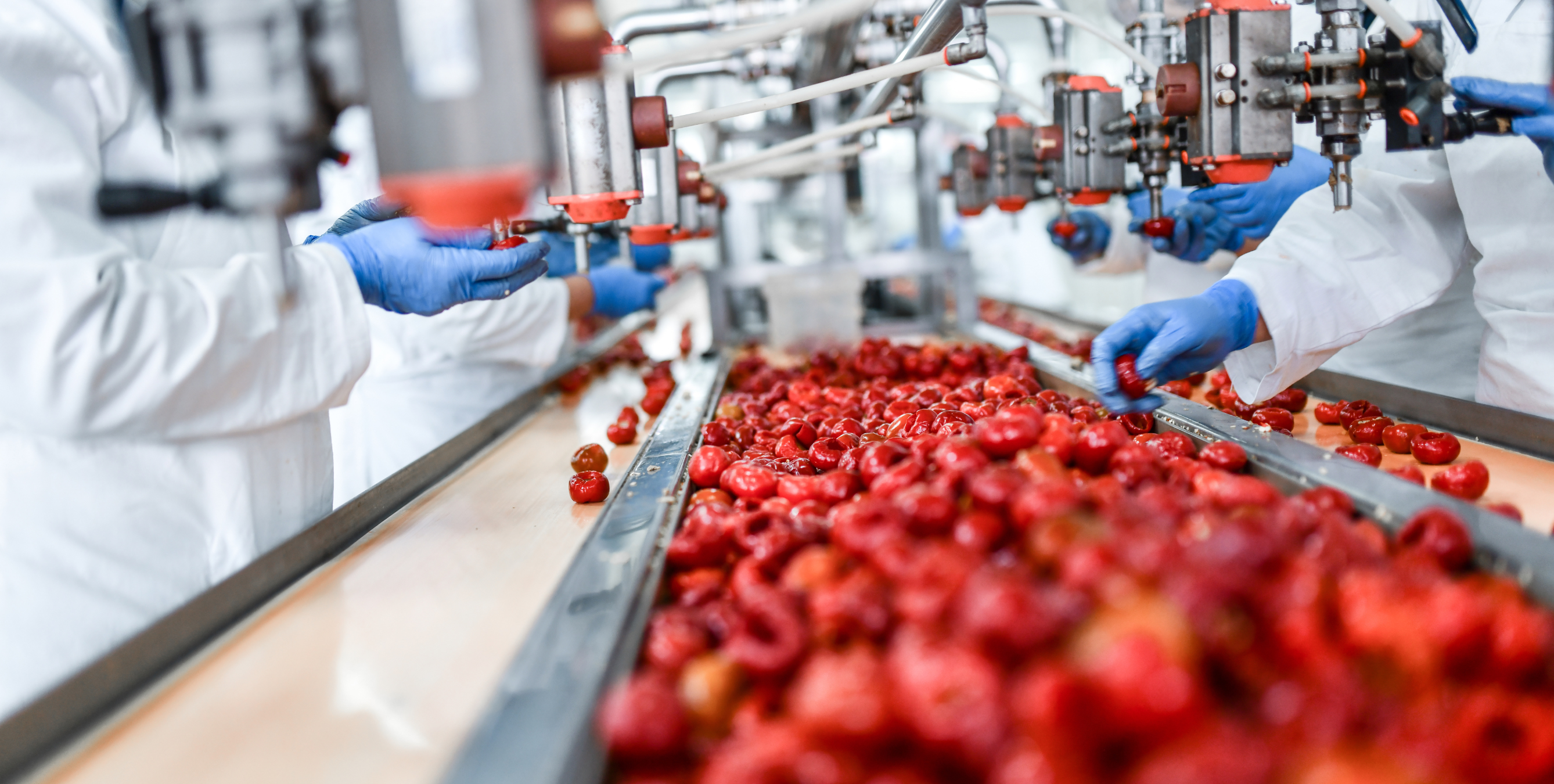Temperature controlled pharmaceutical logistics